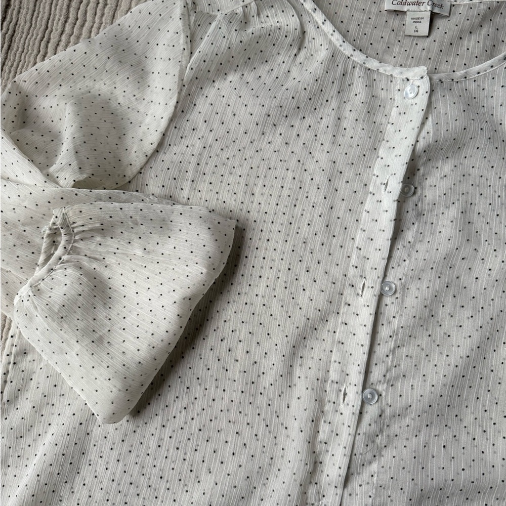 Vintage White Sheer Button-Up Blouse - Picture 2 of 4